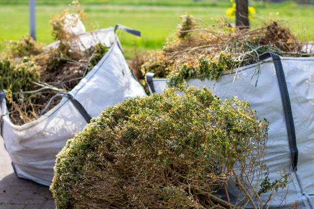 Best Yard Waste Removal  in Berrien Springs, MI