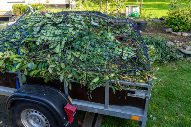 Best Moving and Downsizing Cleanouts  in Berrien Springs, MI